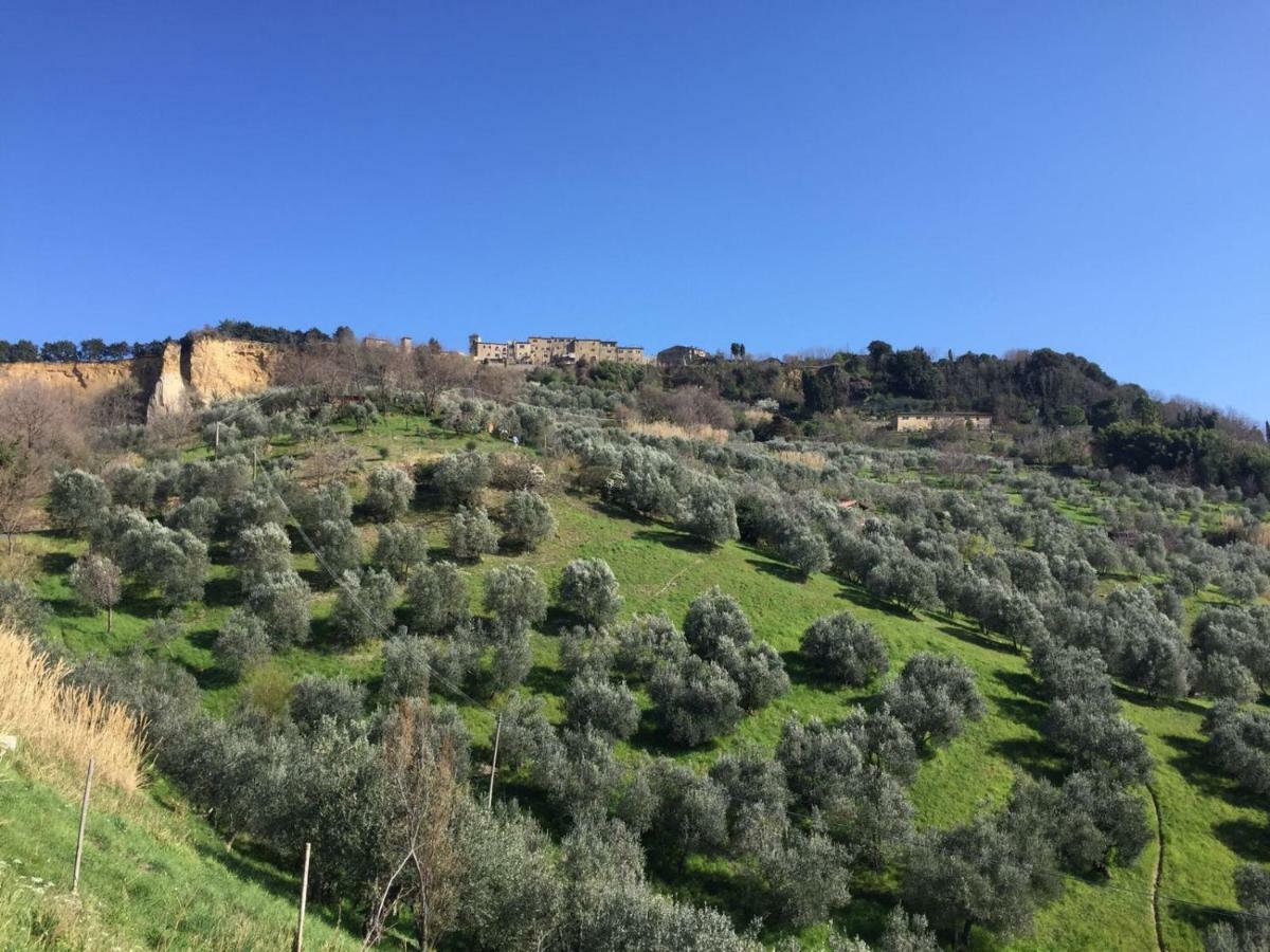 Podere Doccia Di Sopra Volterra Exterior foto
